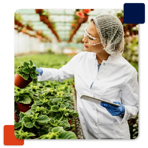 Agriculture Recruitment Solutions in India
