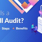 Payroll Audit Meaning